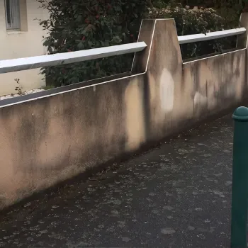 before-image