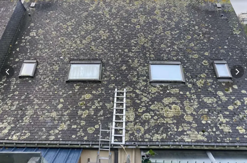 nettoyage de facade janze