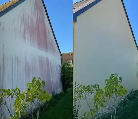 nettoyage de toiture Guichen-5