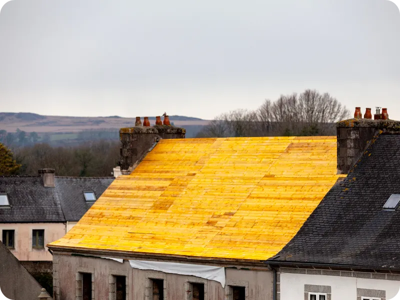 nettoyage de toiture guichen